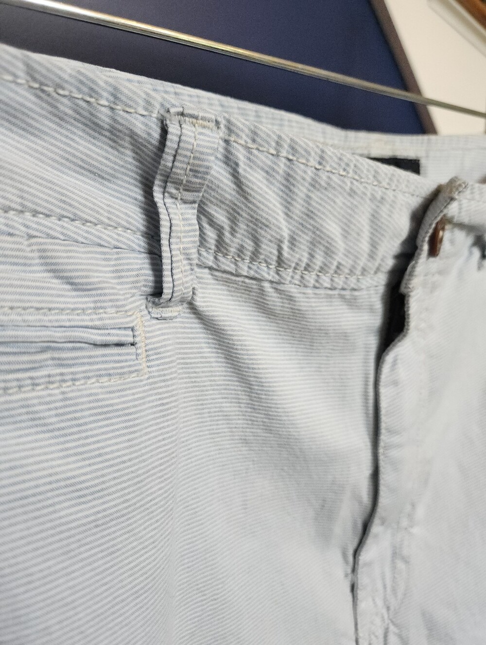 American Eagle Outfitters Extreme Flex Club Shorts Men's Blue White Stripes 38"